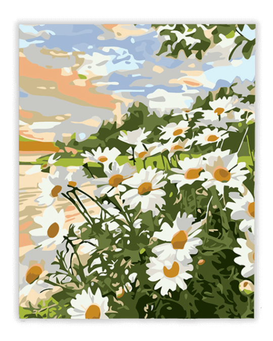 Margaritas al atardecer en el lago, pintura por números 