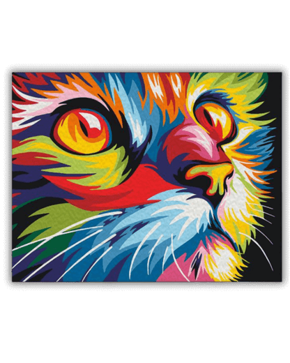 Colorful Cat Painting By Numbers