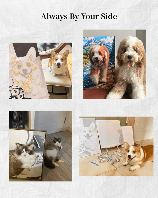 Custom Paint by Numbers Kit