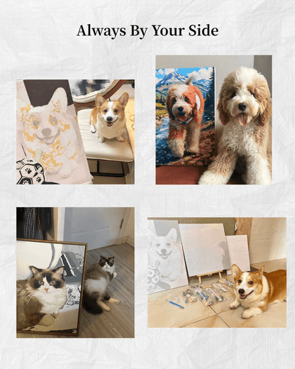 Custom Paint by Numbers Kit