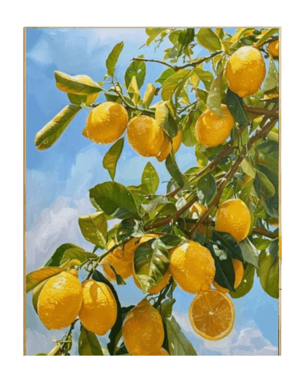 Limonero para pintar por números