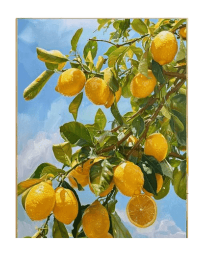 Limonero para pintar por números
