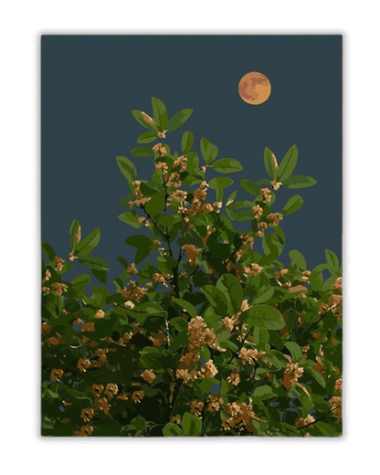 Moonlit Blossoms Paint by Numbers