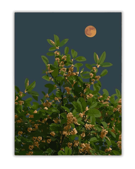 Moonlit Blossoms Paint by Numbers