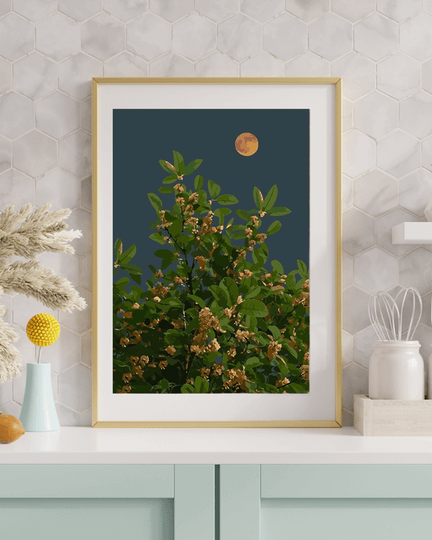 Moonlit Blossoms Paint by Numbers